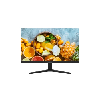 MONITOR 24