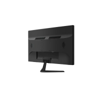 MONITOR 19
