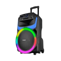 PARLANTE PULSE 550W SP403E BURST 12