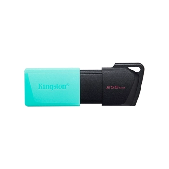 PENDRIVE KINGSTON DATATRAVELER EXODIA M 256GB USB 