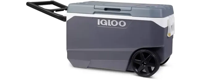 ¡Atención! Igloo decidió retirar del mercado